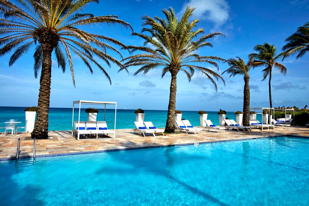 beach chairs under palm trees