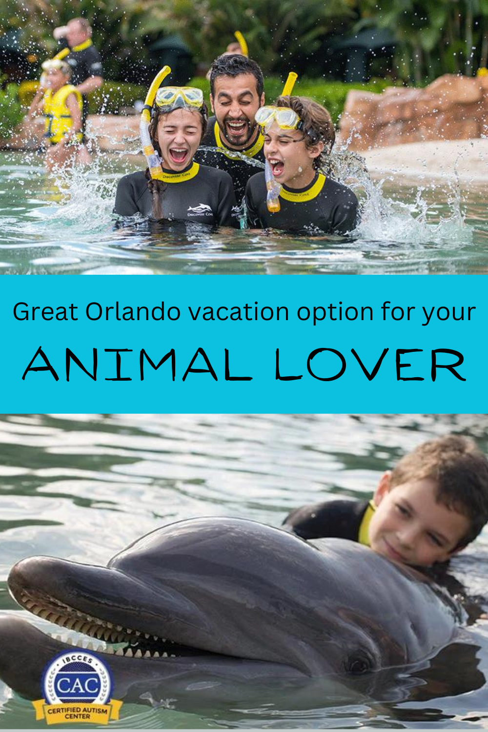 family snorkeling and a boy hugging a dolphin