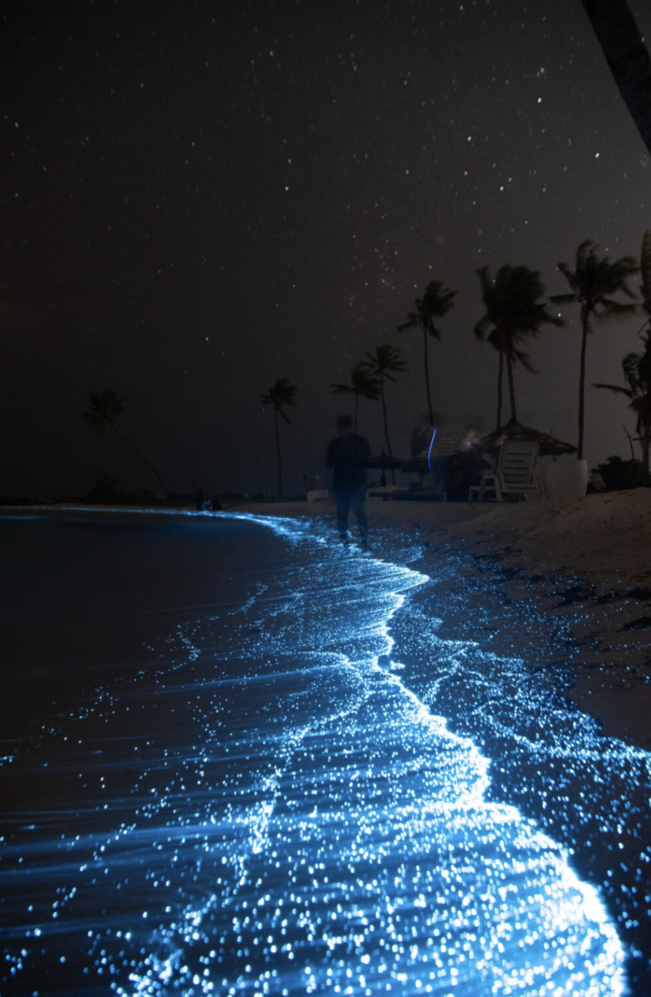 Bioluminescent ocean water